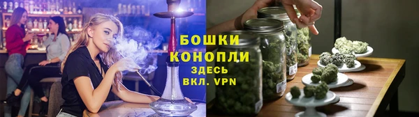 PSILOCYBIN Белоозёрский